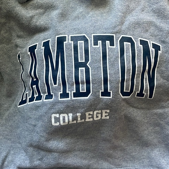 lambton college hoodie! size S - Picture 4 of 4